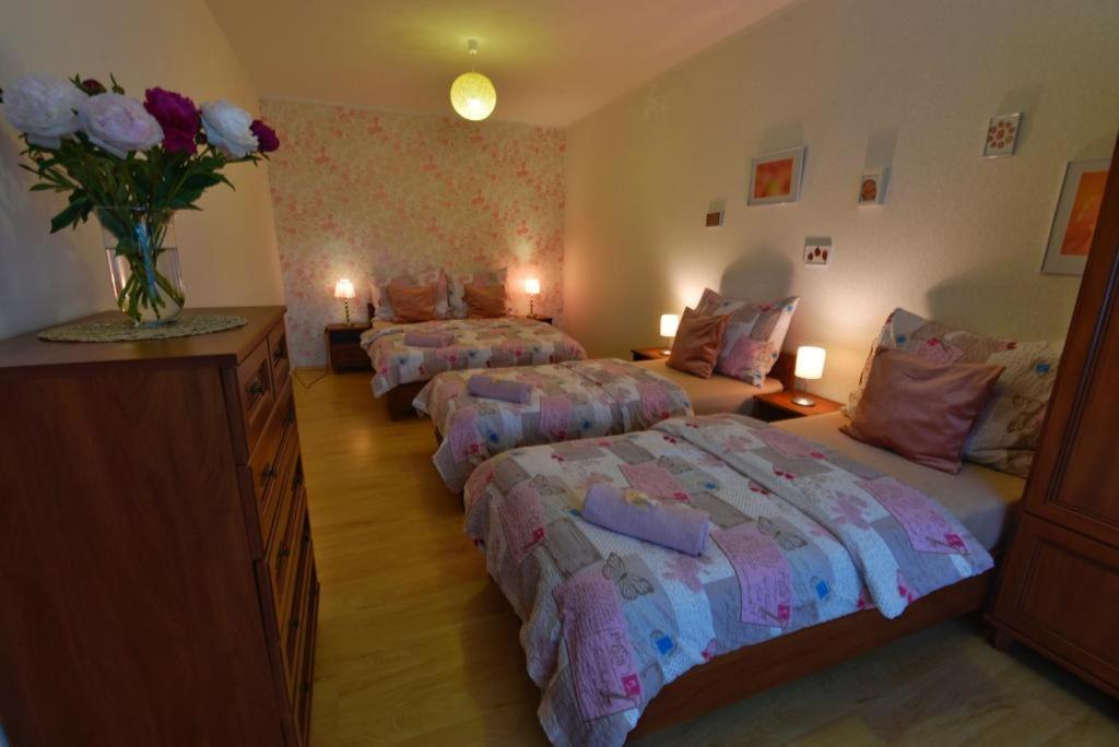 Apartmany Branickov Εξωτερικό φωτογραφία